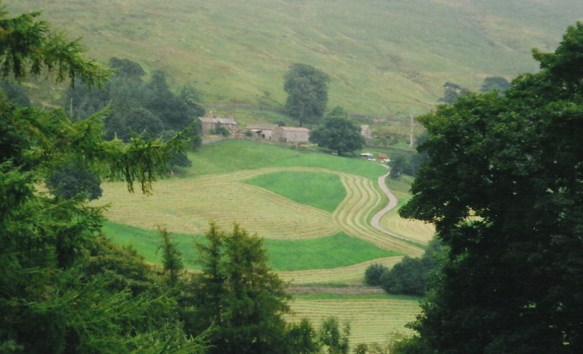 7. High Rigg End | Historycal Roots